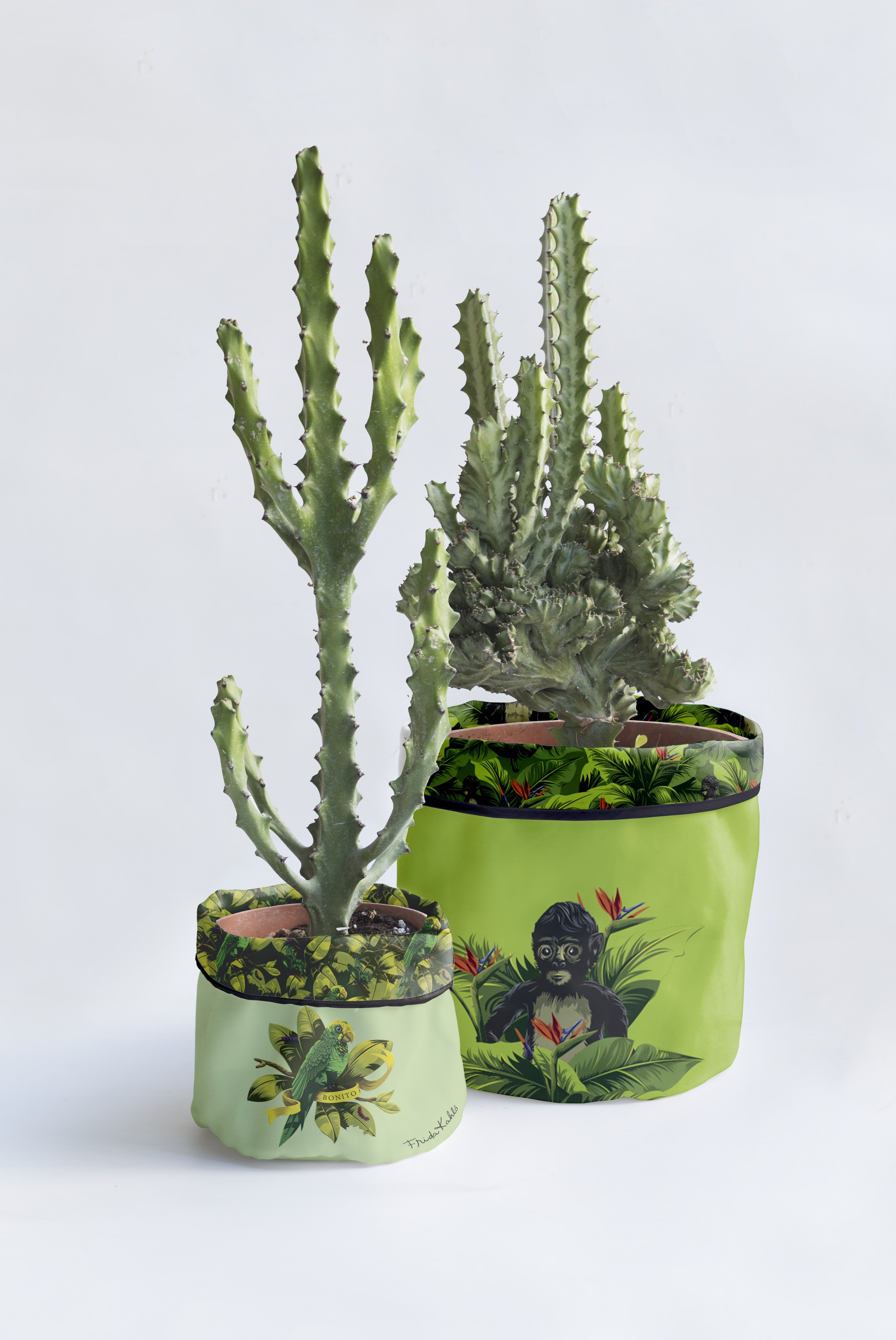 Set 2 Fundas Macetas Tropical