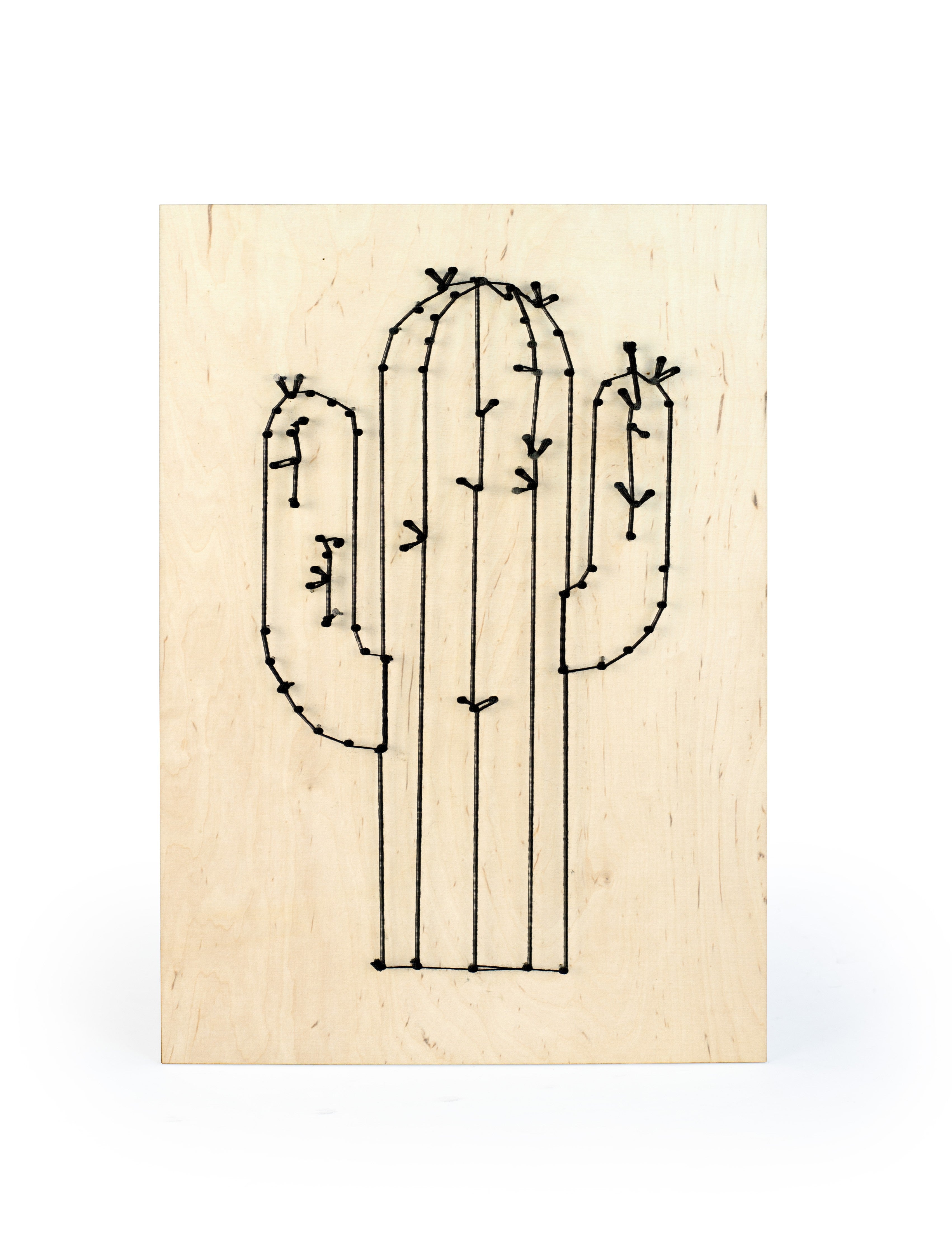 String Art Cactus