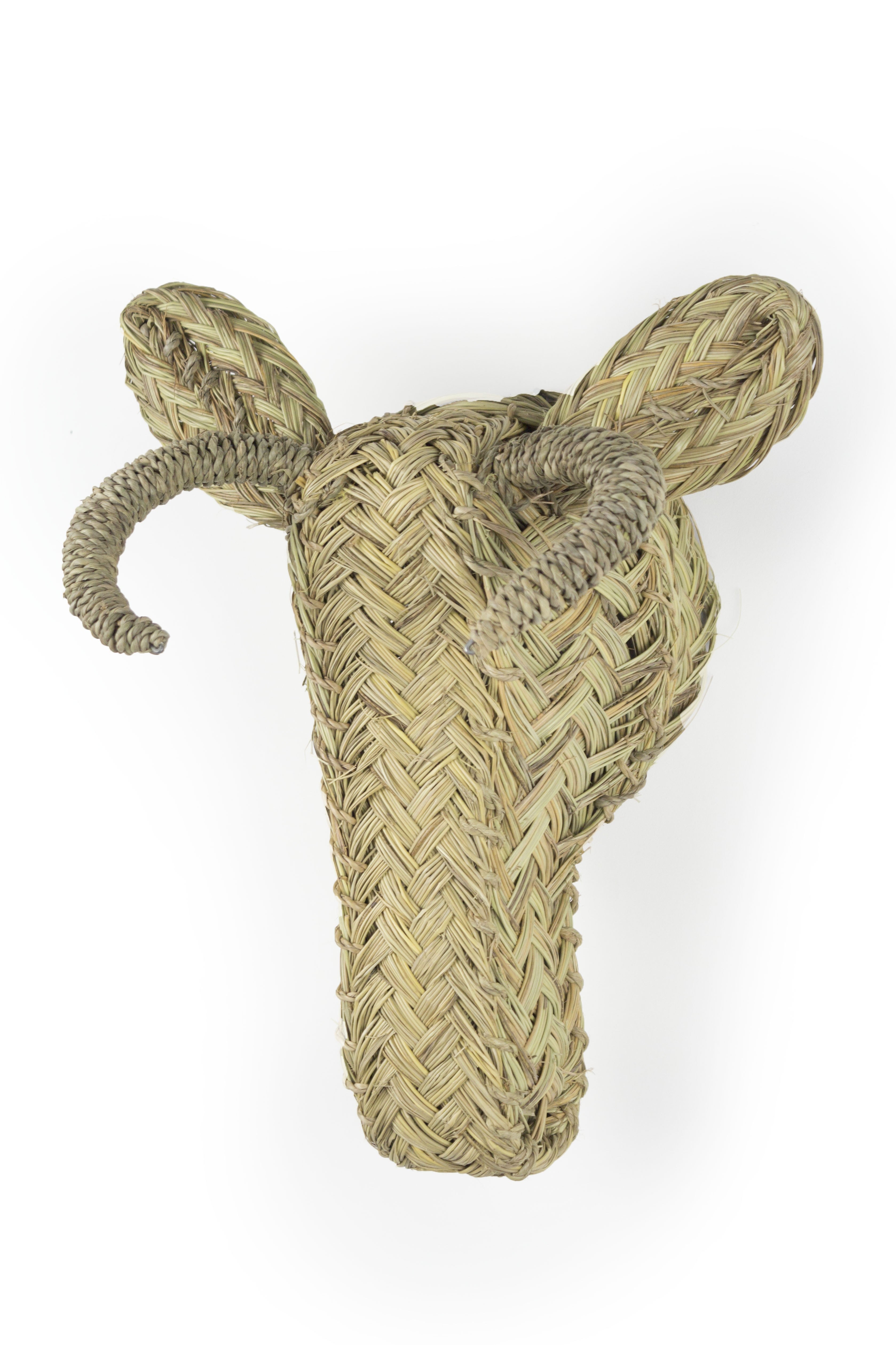 Busto Toro Esparto