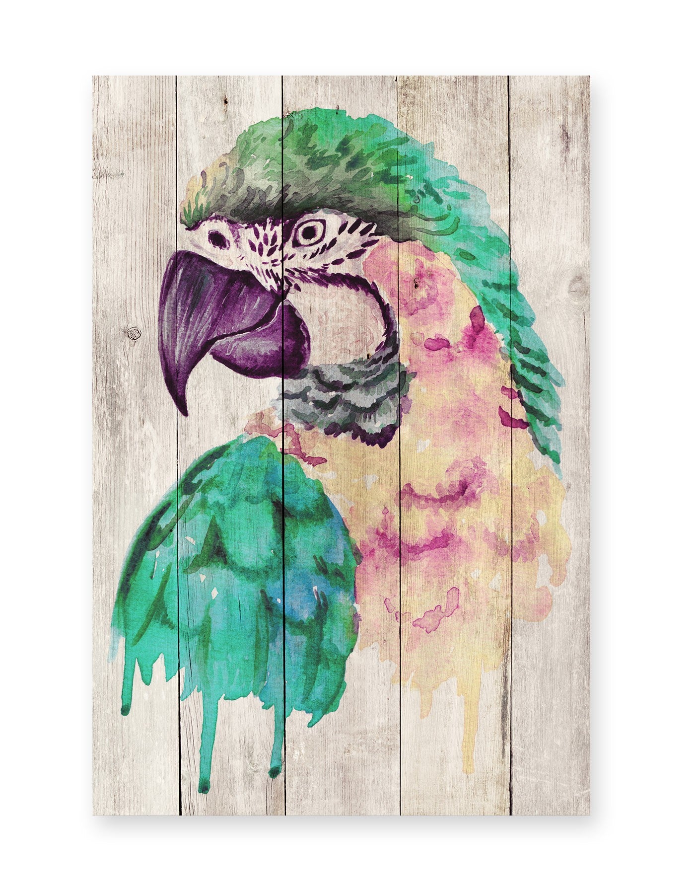 Tabla Watercolor Parrot