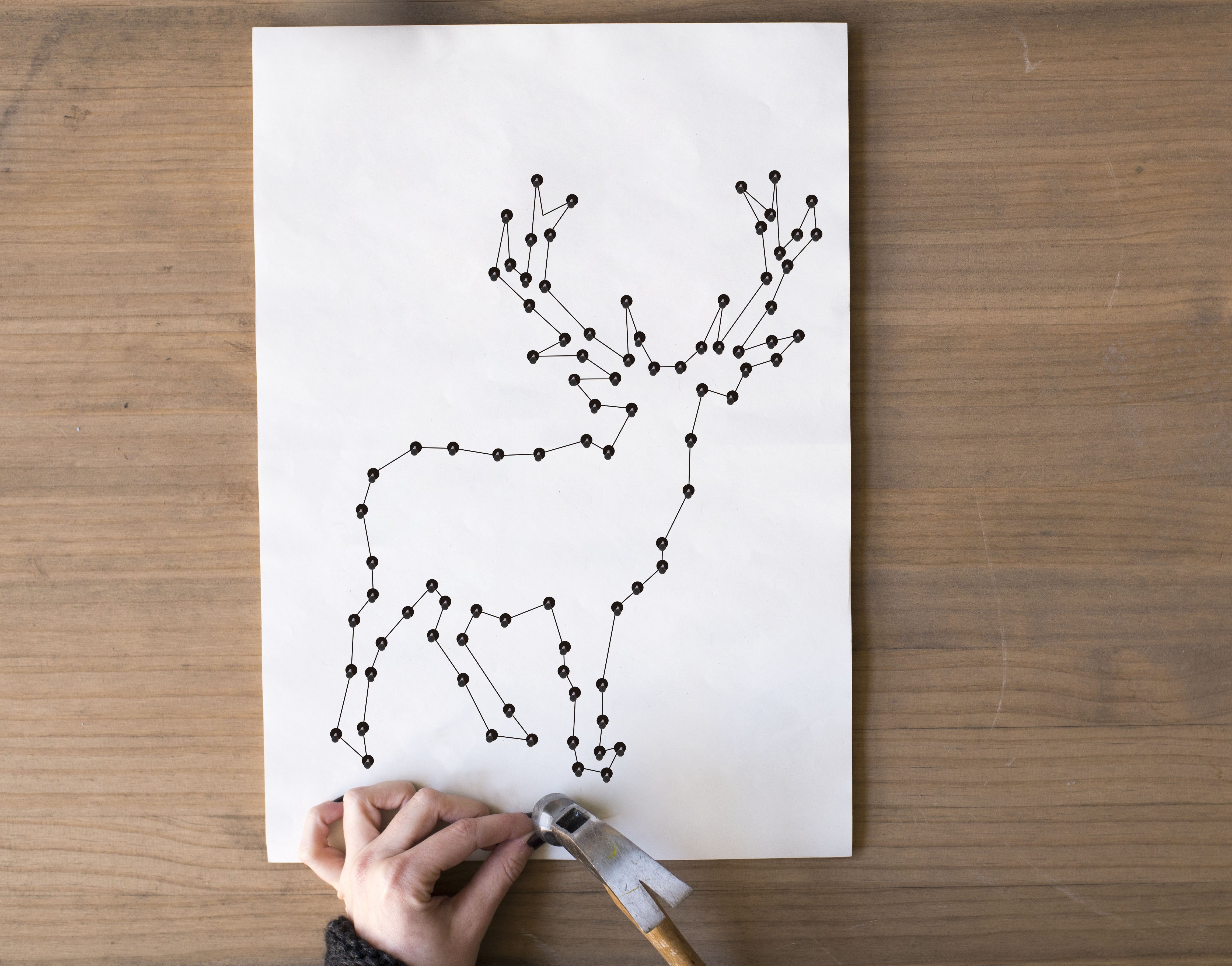 String Art Oh Deer