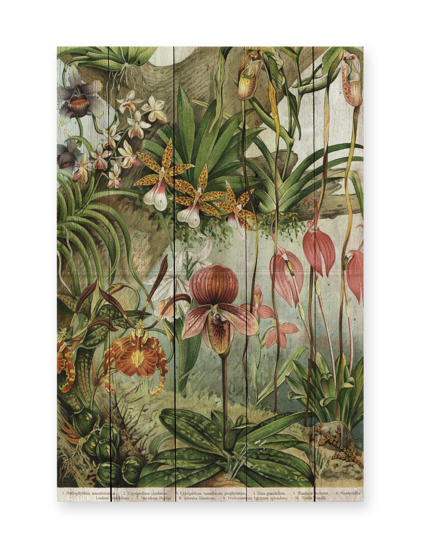 Tabla 60x40 (Jungle Flowers)