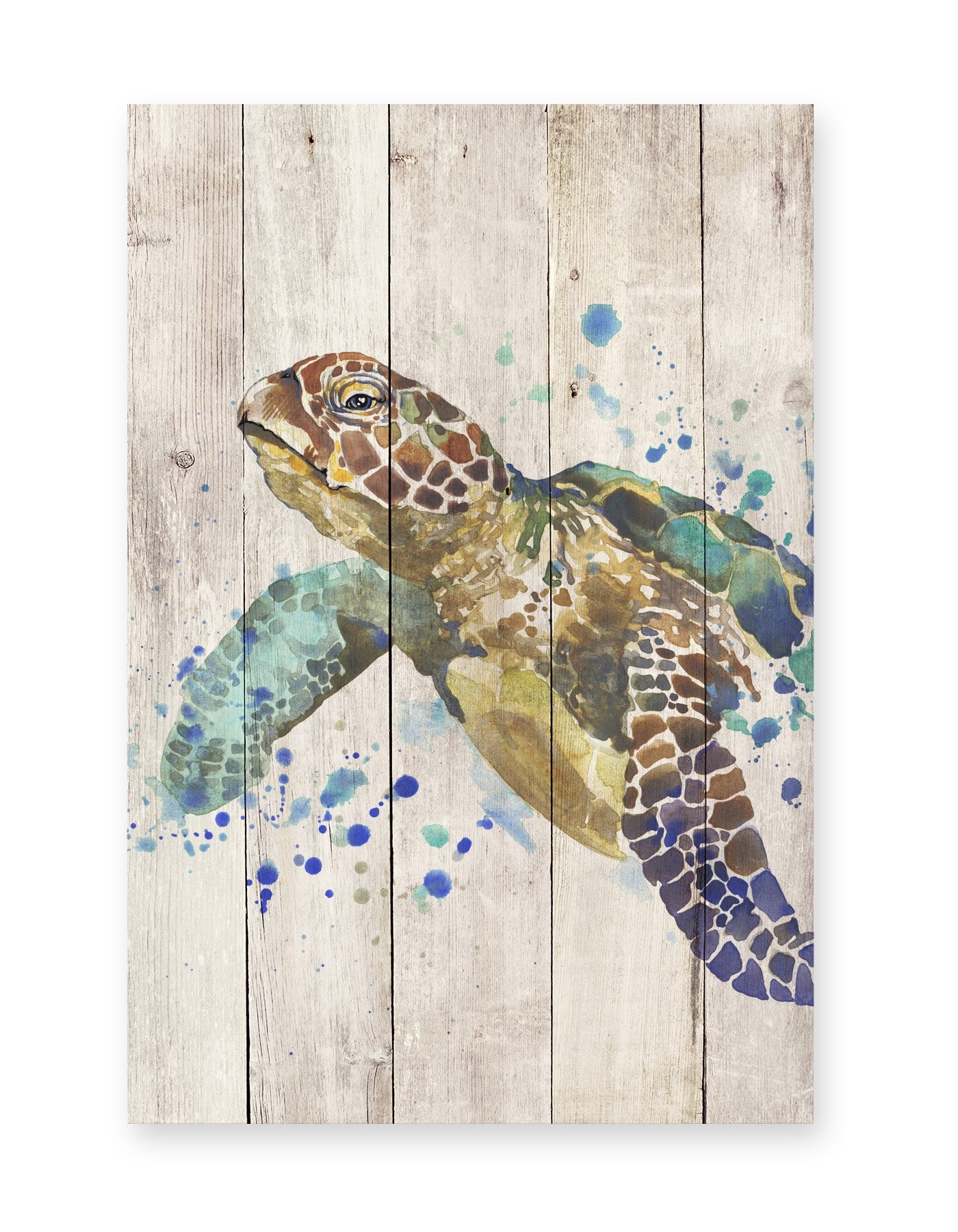 Tabla Turtle
