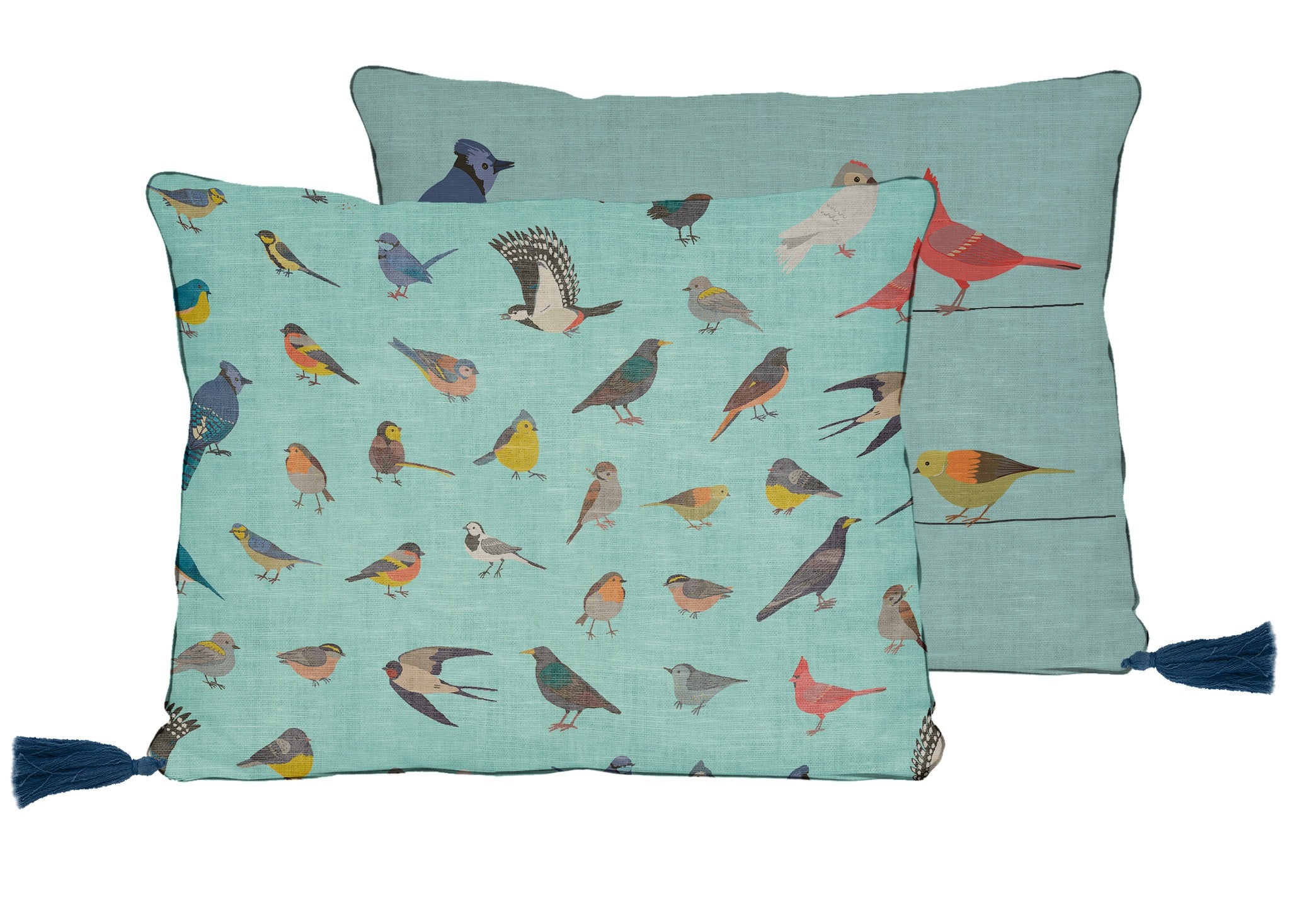 Cojin 50x35 Lino Borlas Fancy Birds