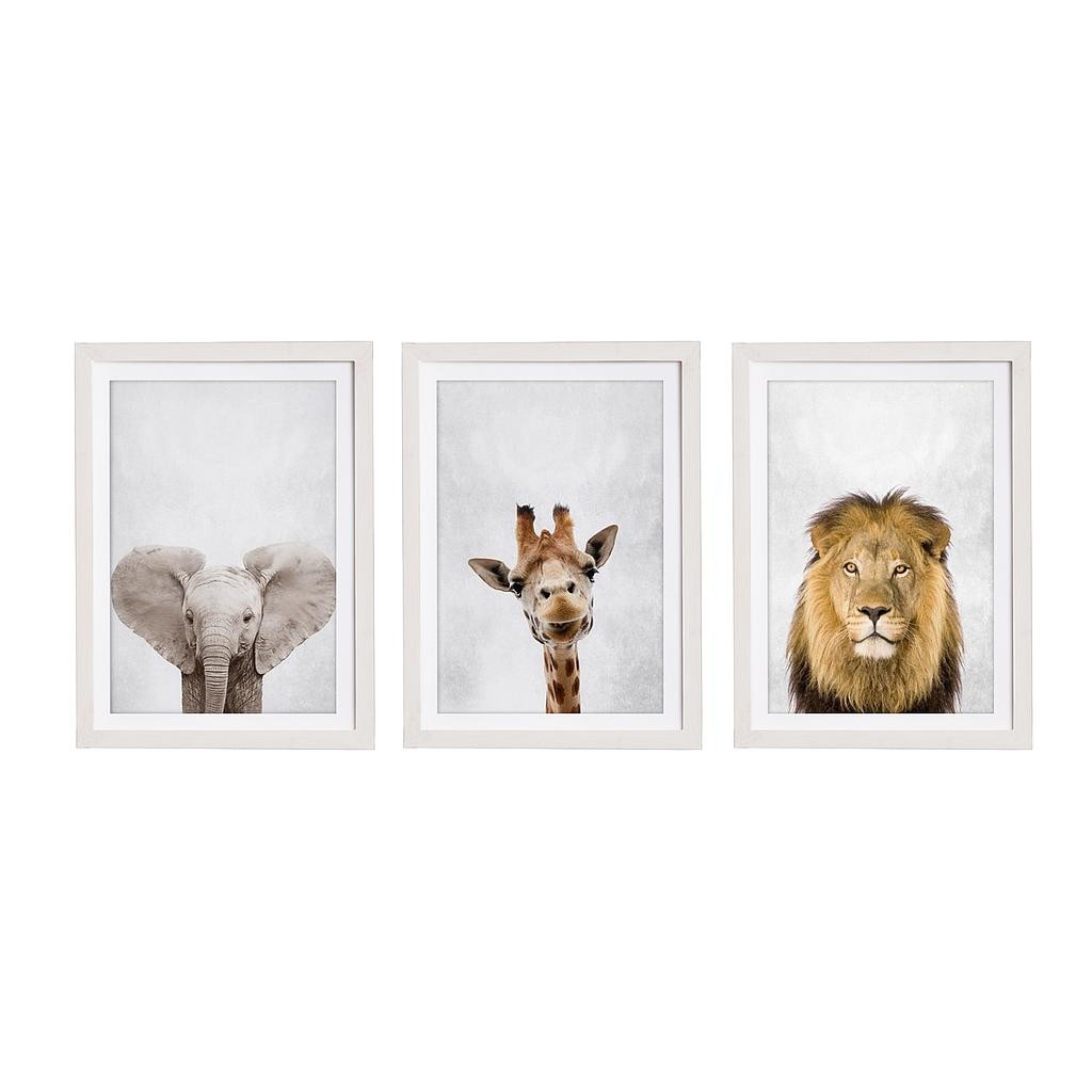Set 3 Molduras 40x30 Blanco (Wild Animals)