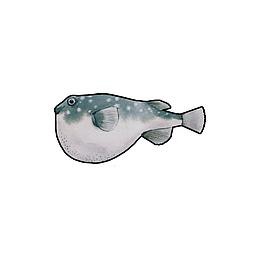 Bathrug Formas (Fish)