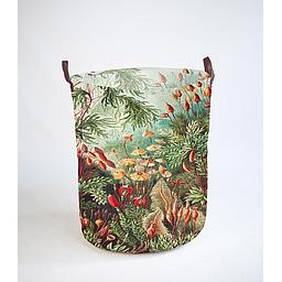 Superbag (Deep Forest)