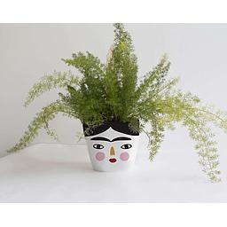 Maceta decorada (Frida)