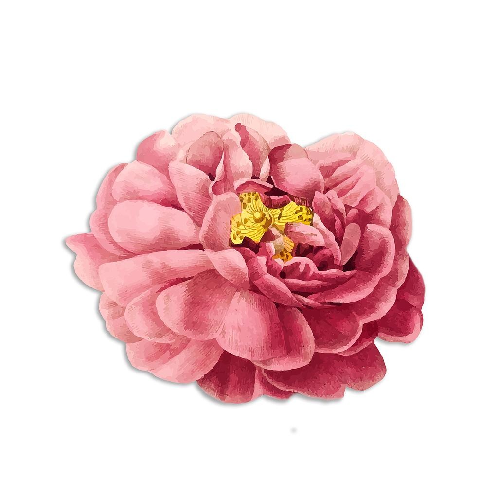 Mantel Individual (Pink Flower)