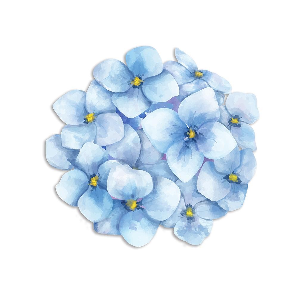 Mantel Individual (Hortencia)