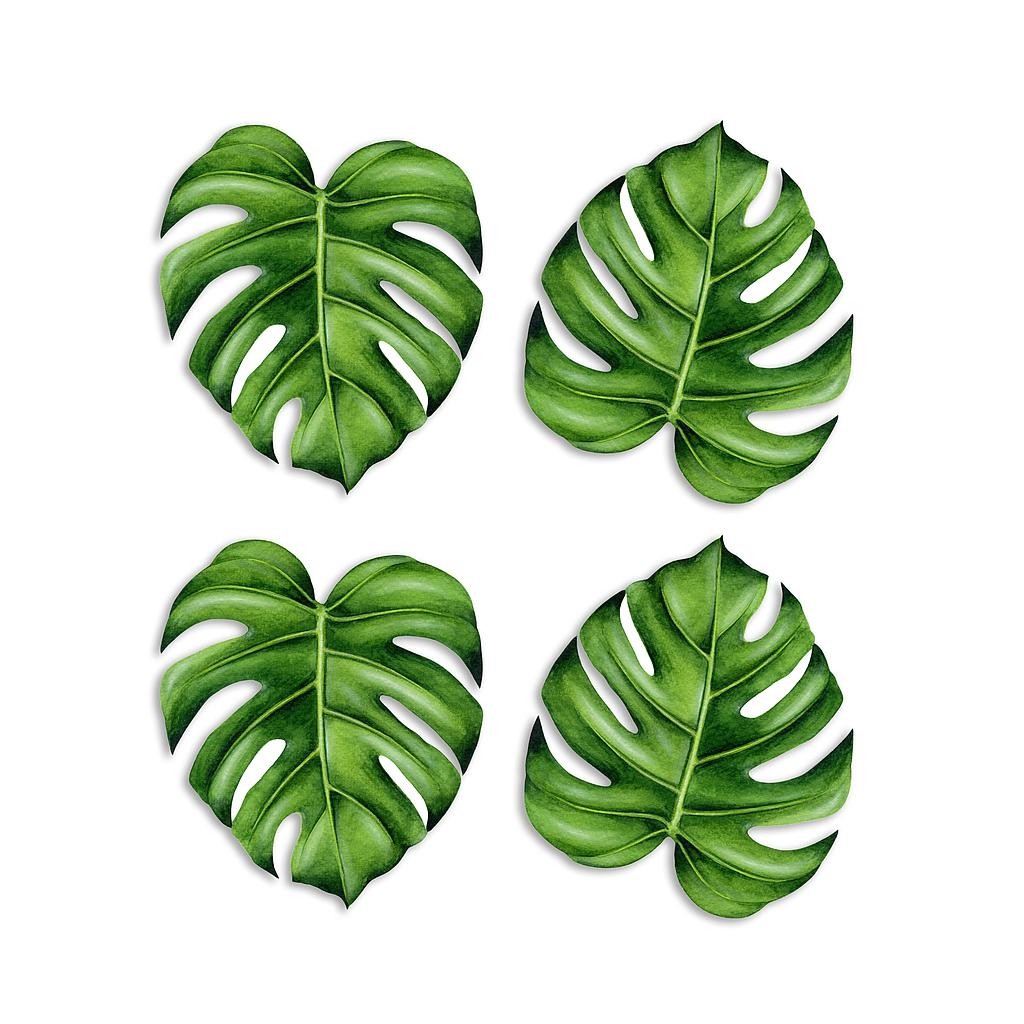 Posavasos de Linoleo (Monstera)