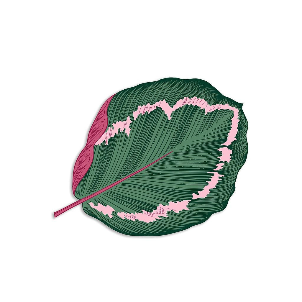 Mantel Individual (Calathea)