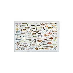 BathRug (Fish in the Ocean)