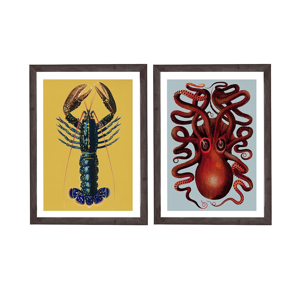 Set 2 Molduras 40x30 Negro (Sea Creatures)