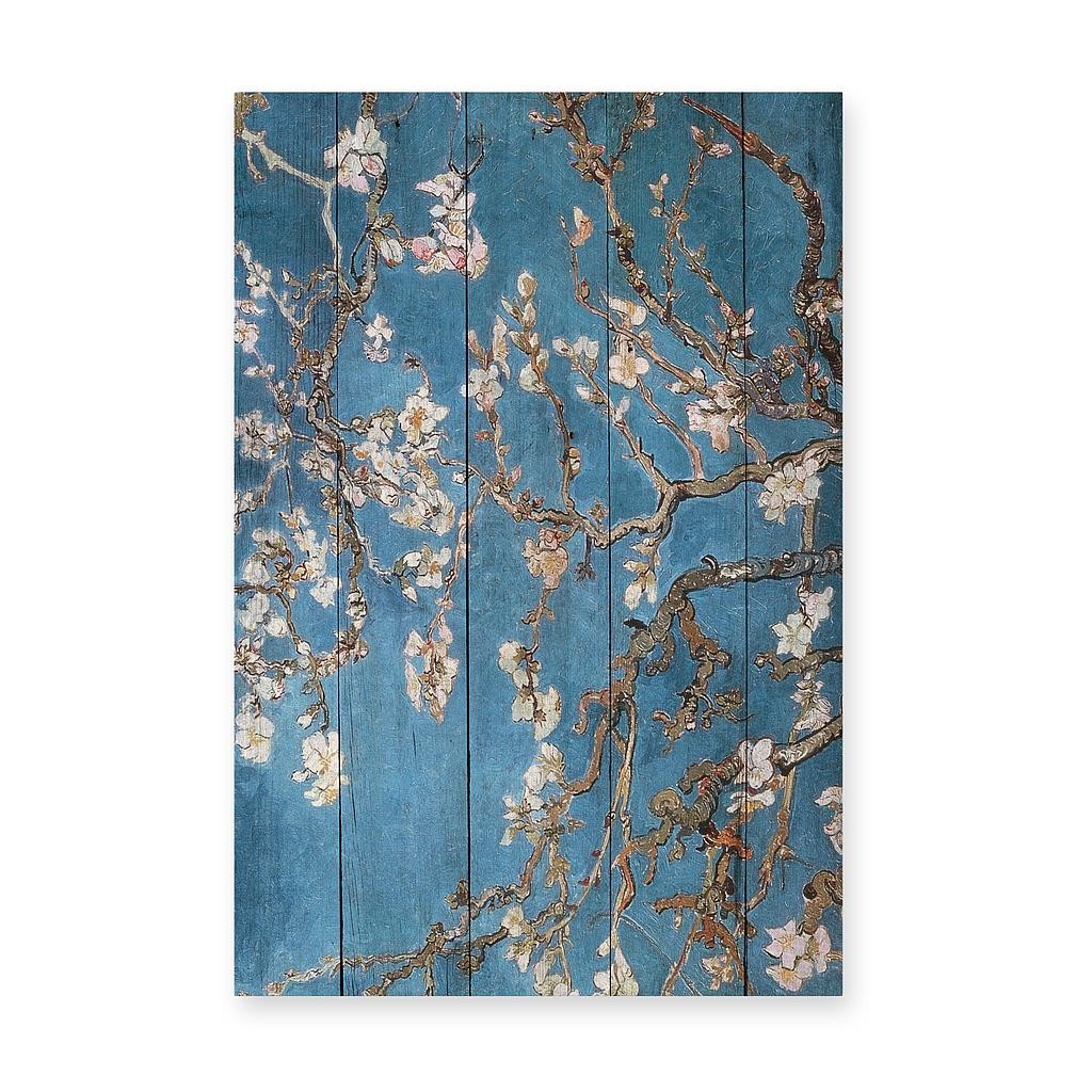 Tabla 60x40 (Blue Almendro)