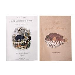 Set 2 Note Book (Nature)
