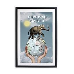 Cuadro Moldura negra 60x40 (No planet B)