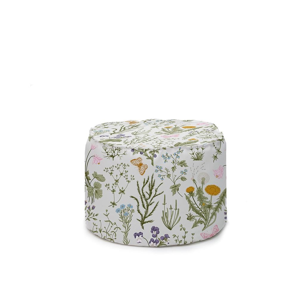 Wide Puff (Botanical)