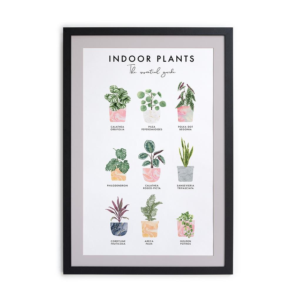 Cuadro Moldura Negra 40x30 (Indoor Plants)