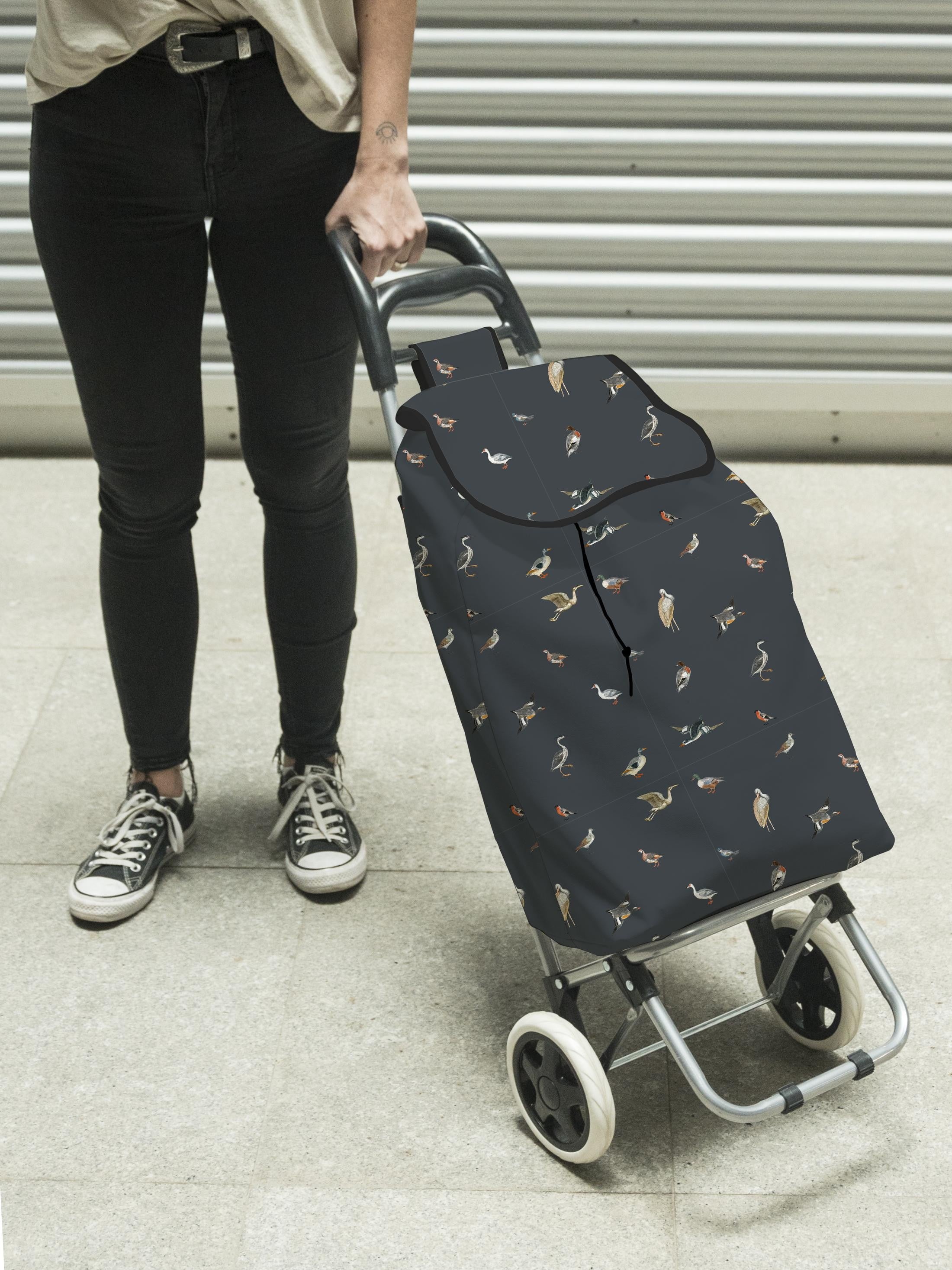 Troley Bag (Lake)