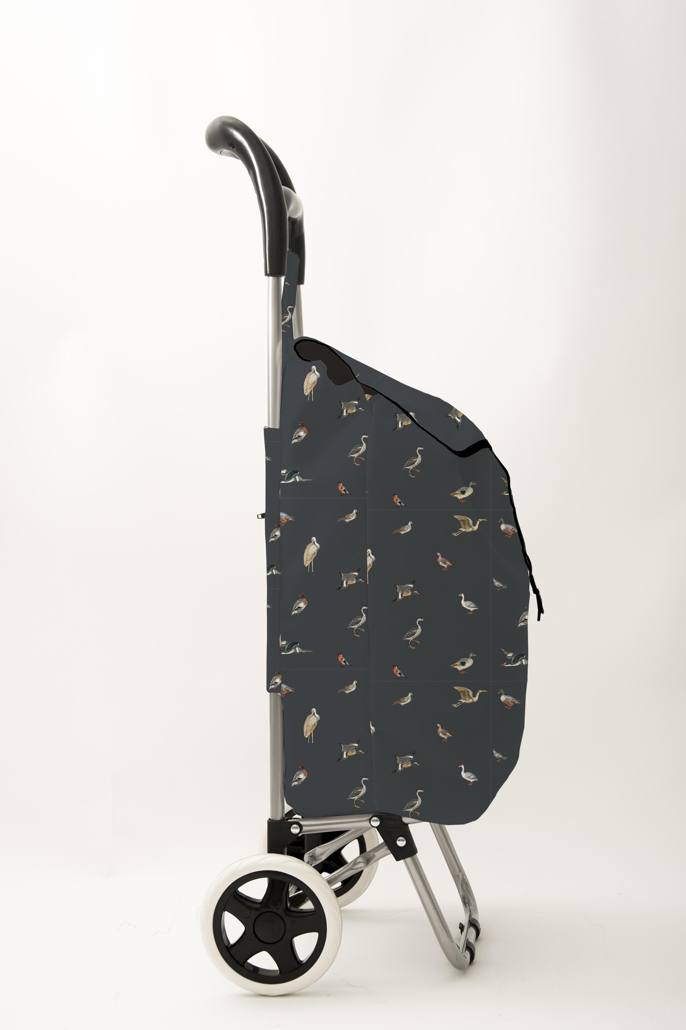 Troley Bag (Lake)
