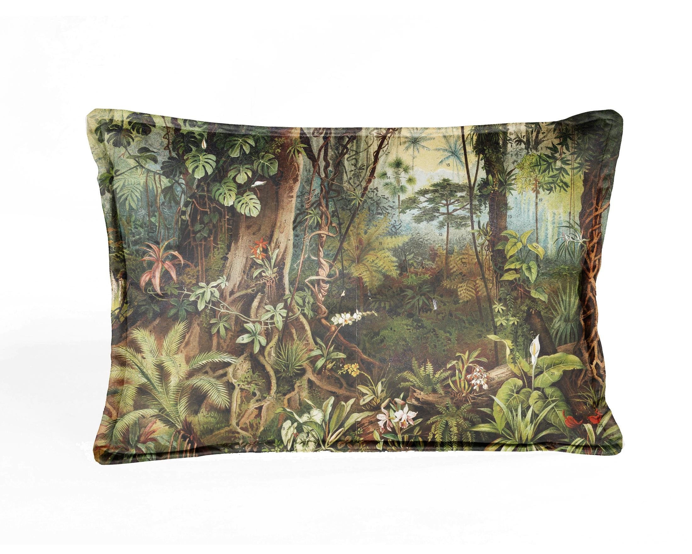 Cojin 50x35 Terciopelo (Sabana)