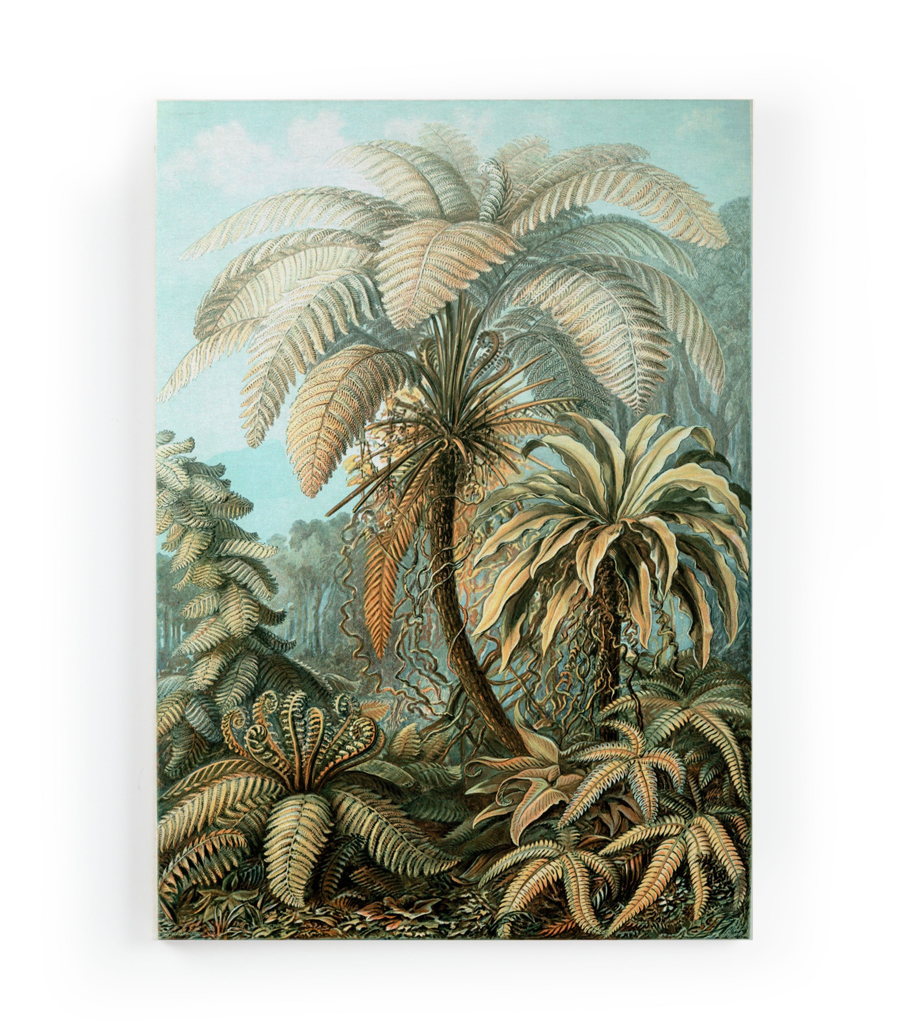 Lienzo 60x40 (Vintage Palm)