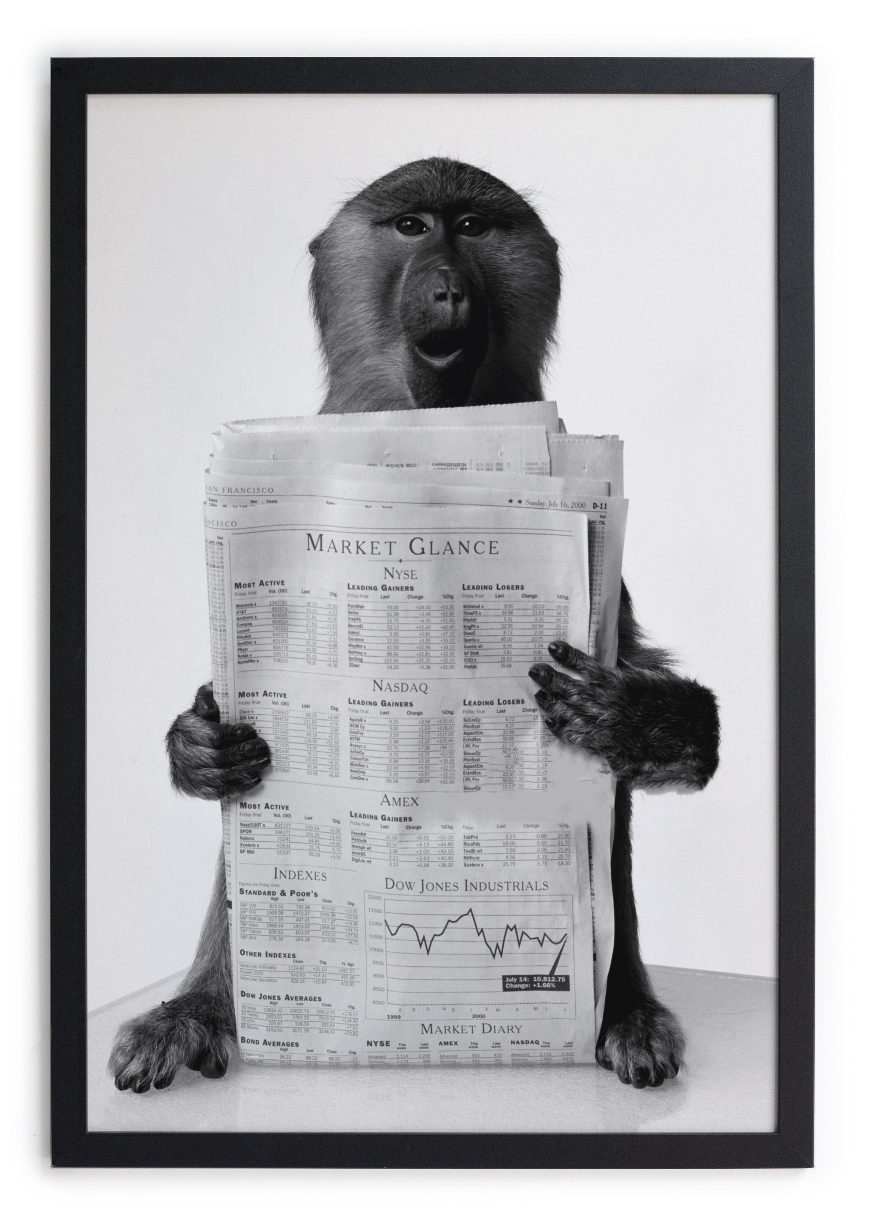 Cuadro Moldura Negra 40x30 (Newspaper Monkey)