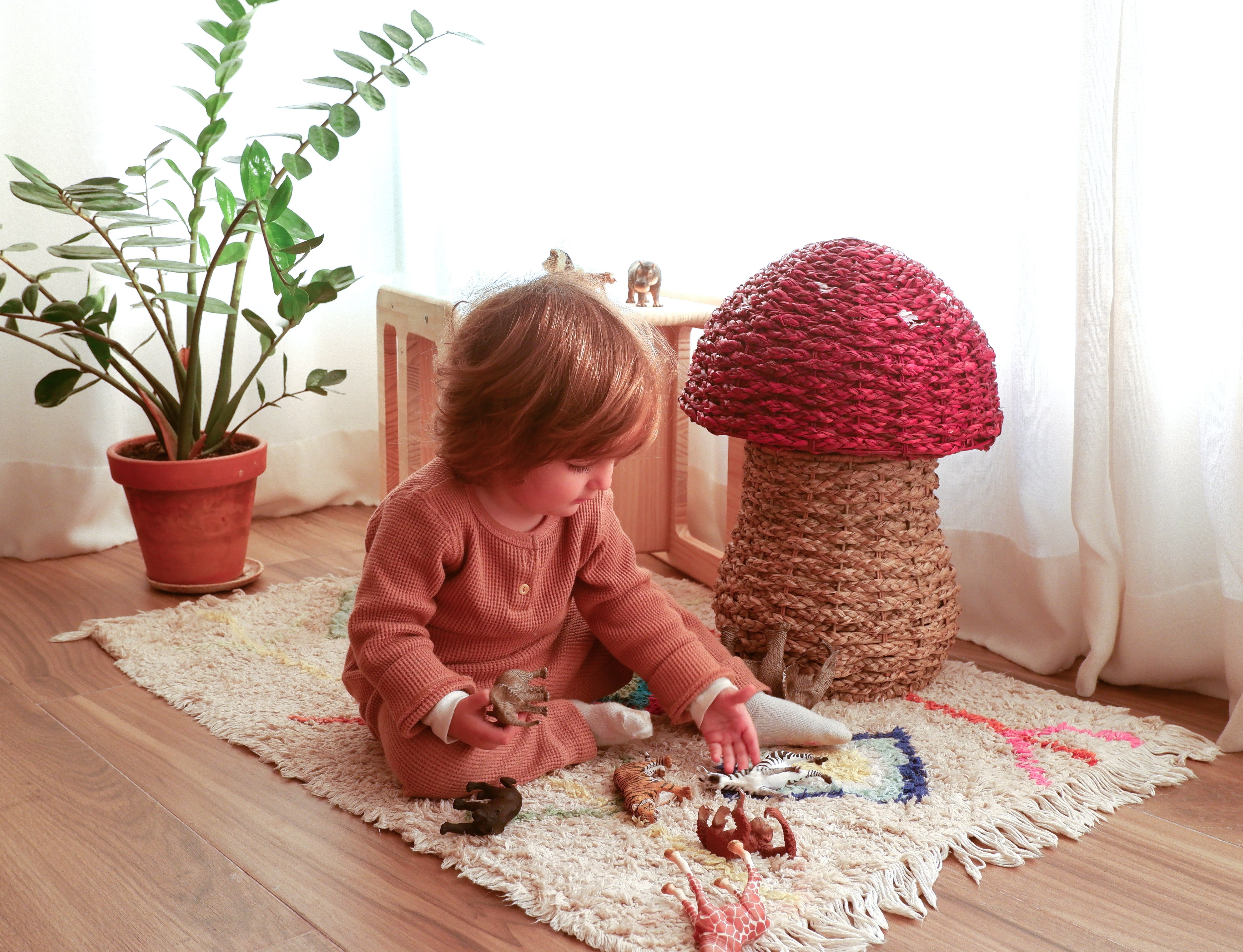 Red Mushroom Basket storage