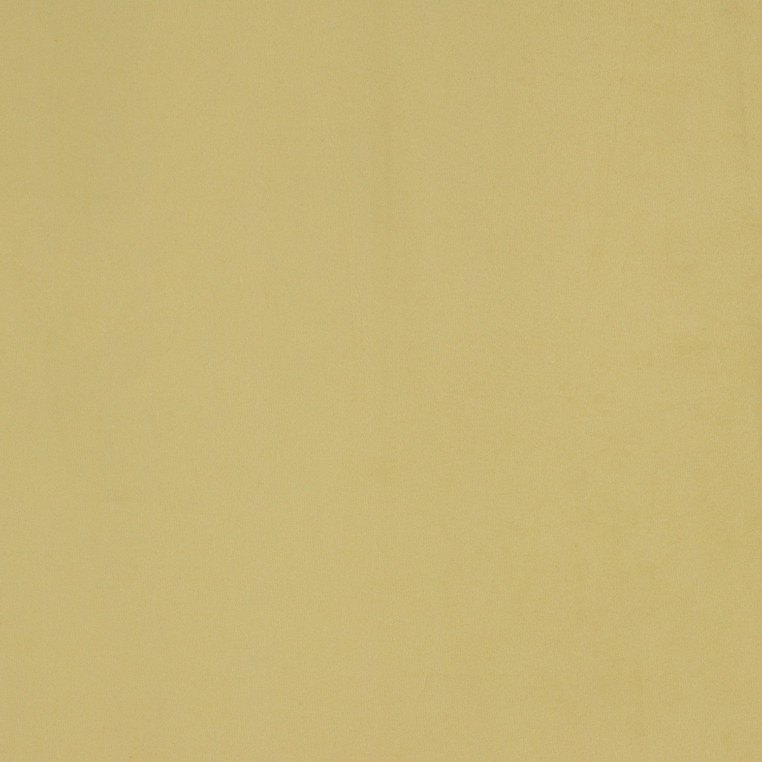 Tela Velvet Plain 013
