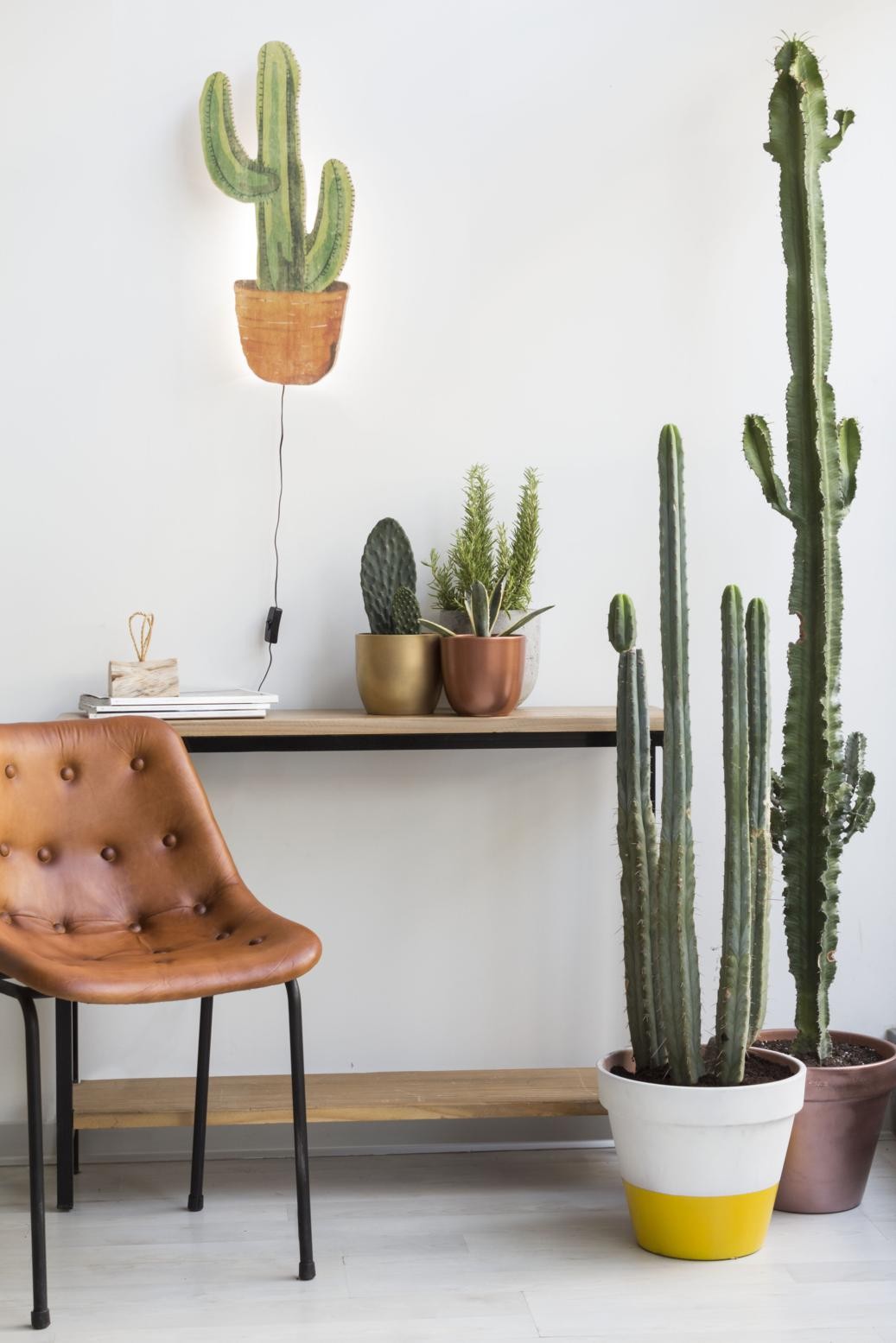 Shape Lamp Cactus