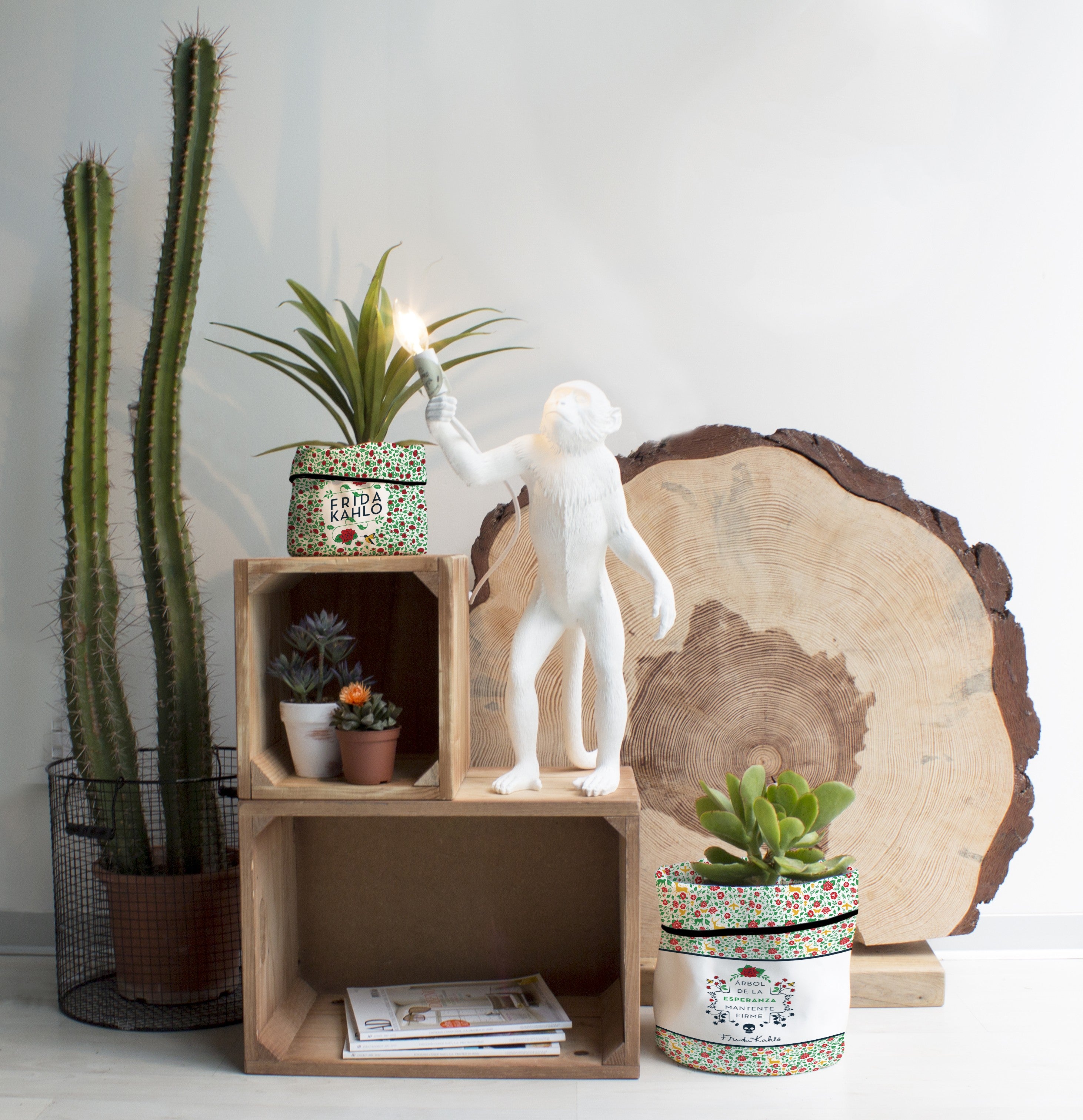 Funda Macetas Arbol