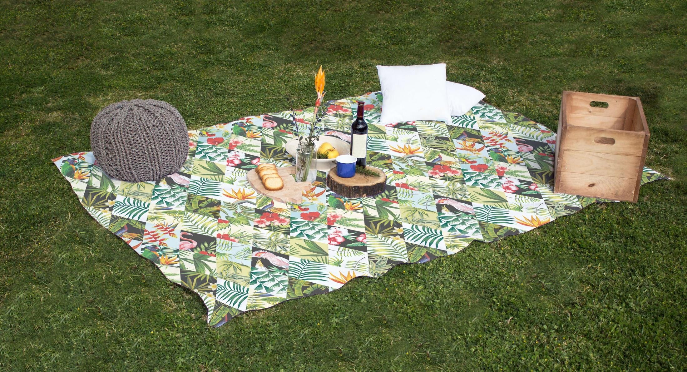 Manta Picnic Surf Day