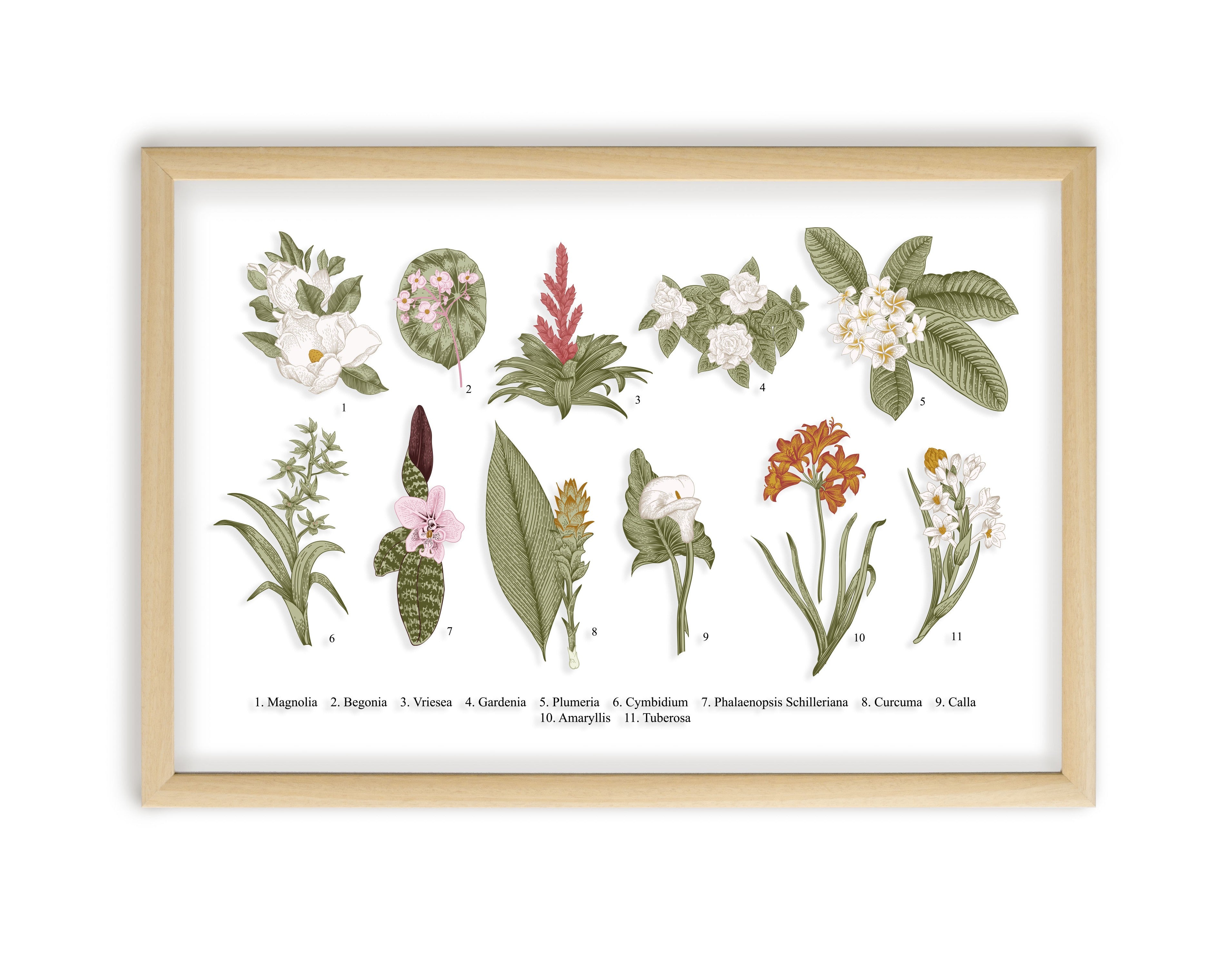 Moldura Natural Botanical Flowers