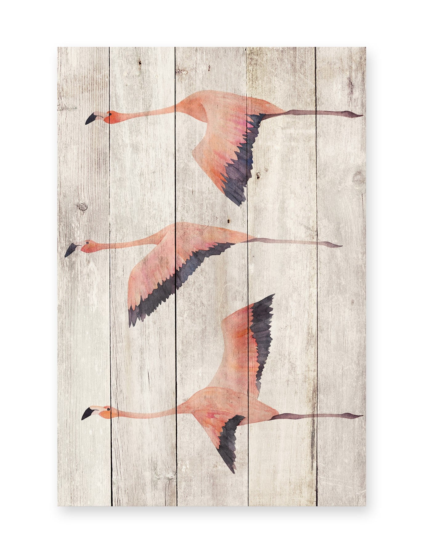 Tabla Flying Flamingo