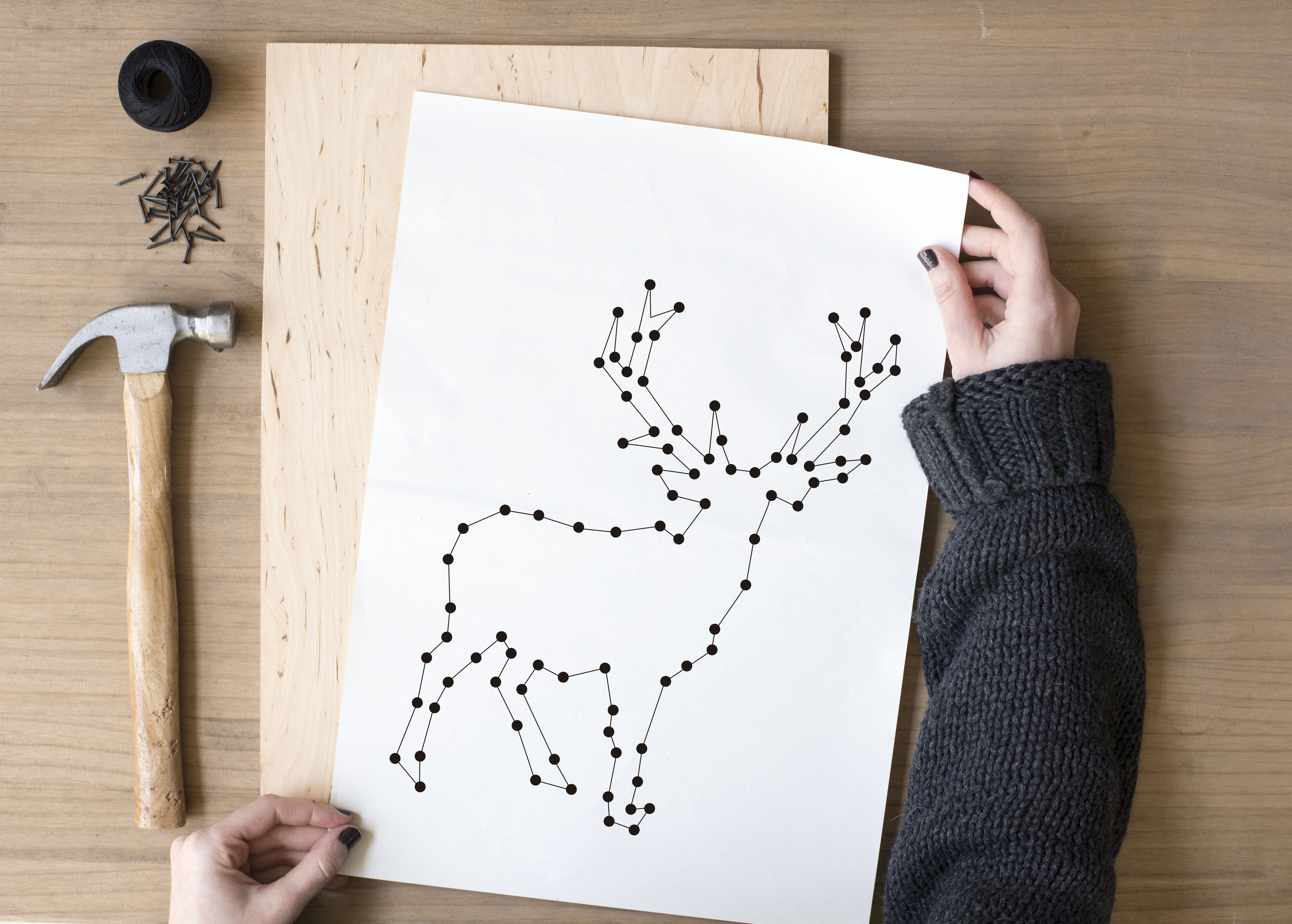 String Art Oh Deer