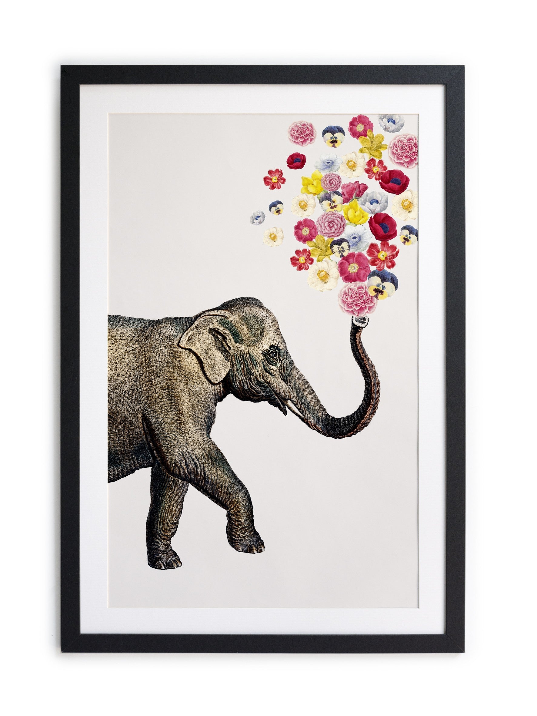 Cuadro moldura negra 60x40 Elephant Flowers
