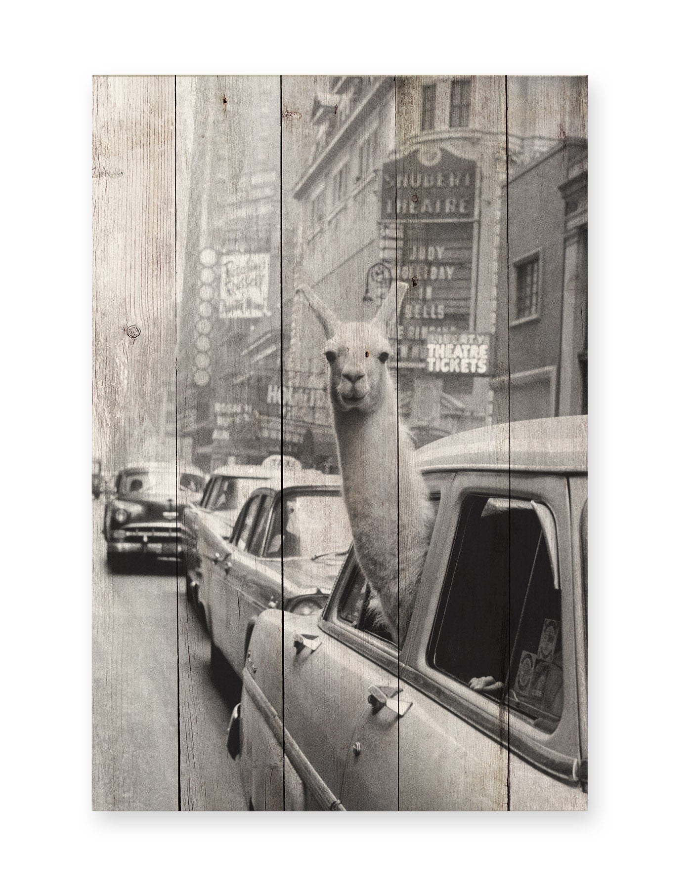 Tabla 60x40 (Llama)