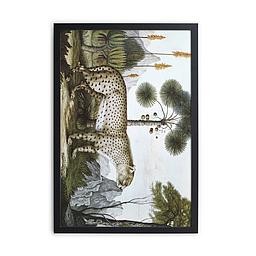 Cuadro Moldura Negra 40x30 (Cheetah)