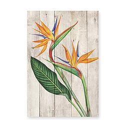 Tabla 60x40 (Ave del Paraiso)