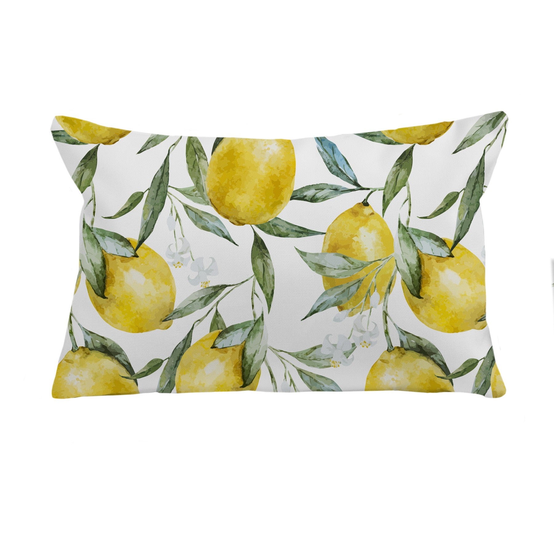 Cojin decorativo Lemmons