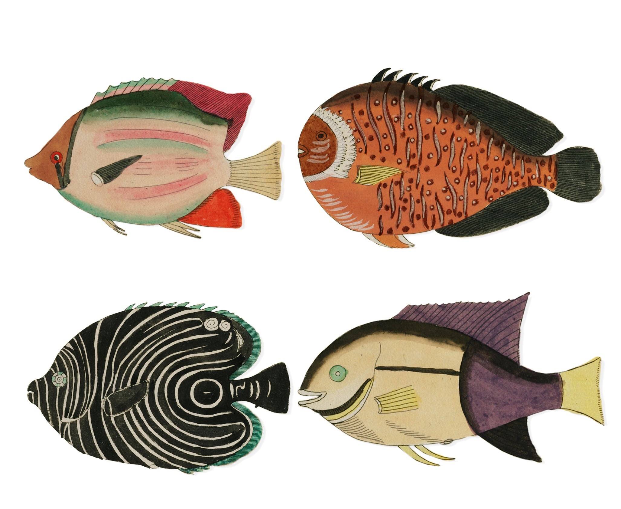 Posavasos de Linoleo (Fishes)