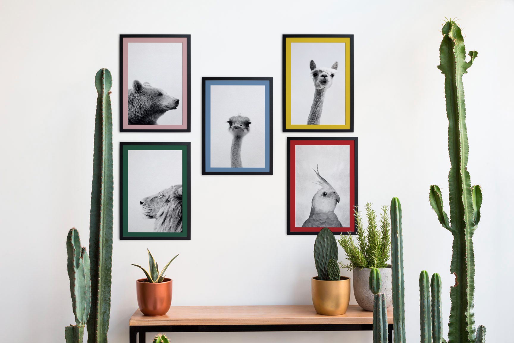 Gallery Set of 5 Animals