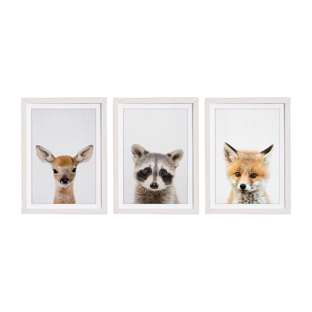 Set 3 Molduras 40x30 Blanco (Real Animals)
