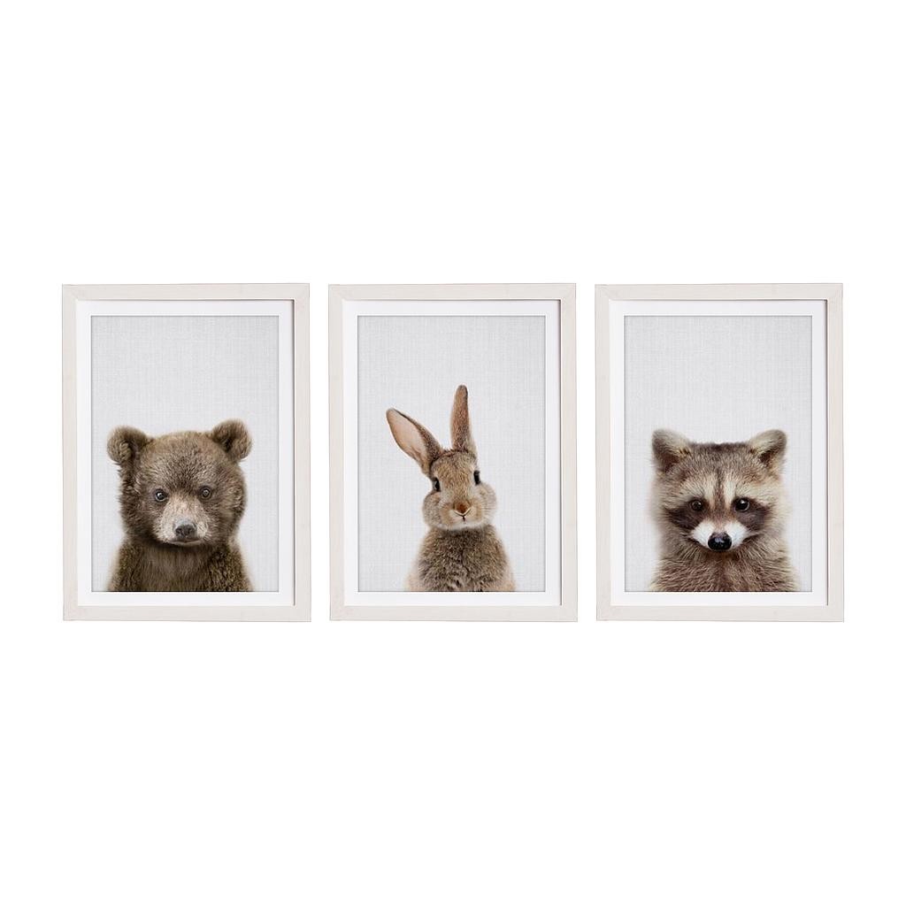 Set 3 Molduras 40x30 Blanco (Great Animals)