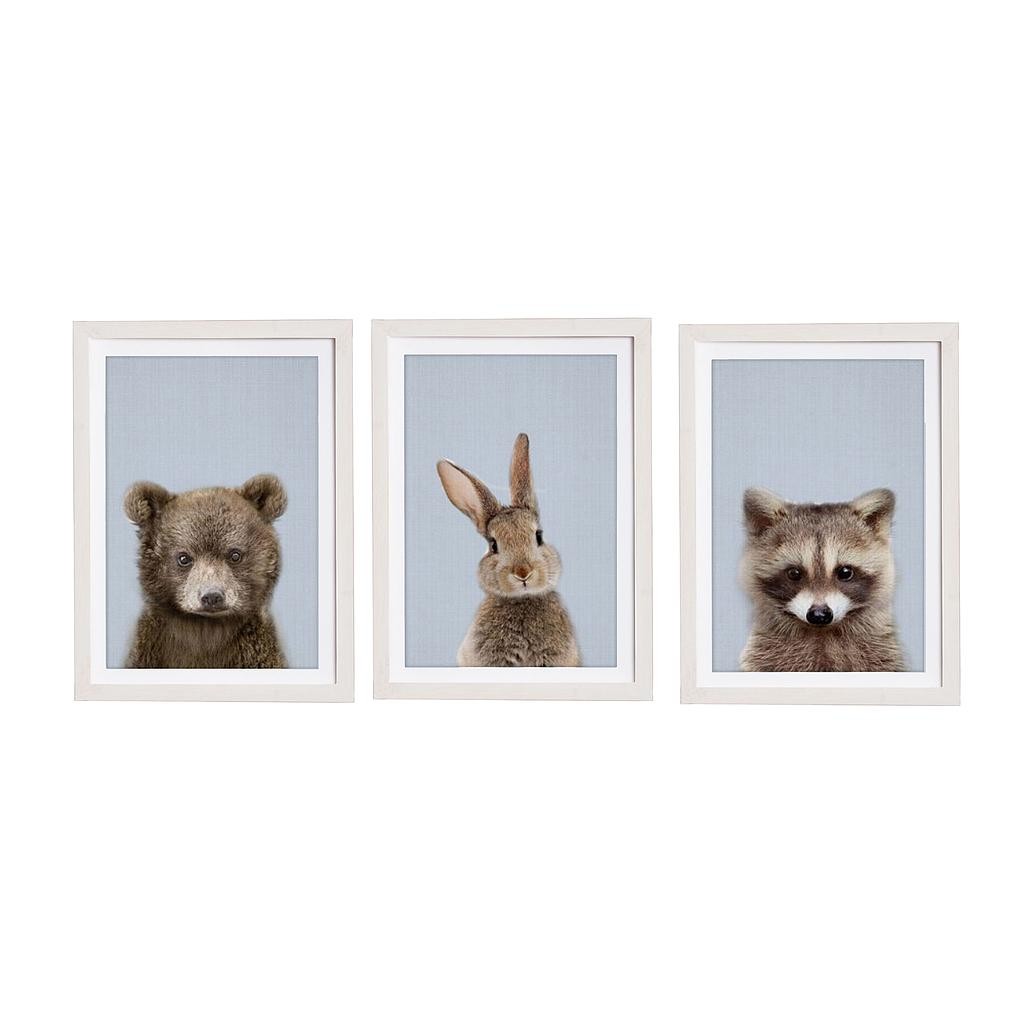 Set 3 Molduras 40x30 Blanco (Great Animals Blue)