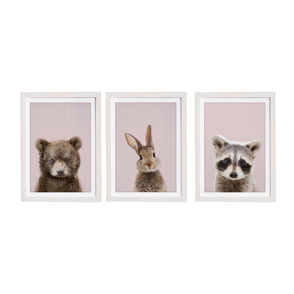 Set 3 Molduras 40x30 Blanco (Great Animals Pink)