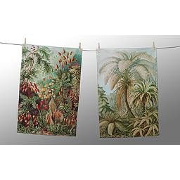 Set 2 Paños (Jungle)