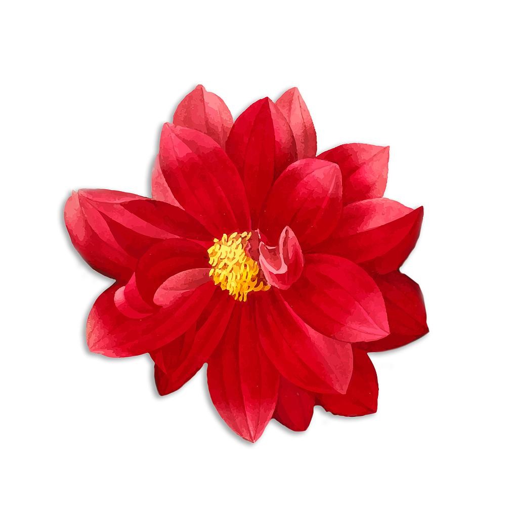 Mantel Individual (Red Flower)
