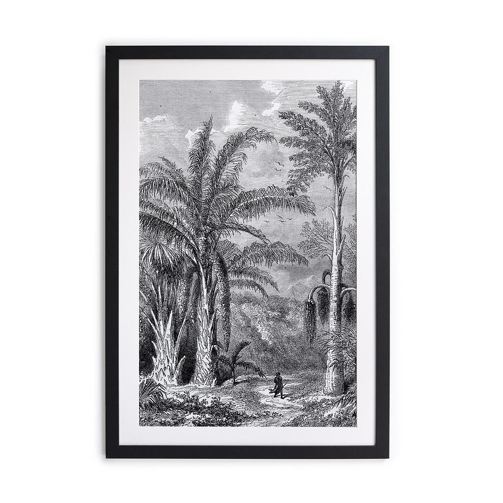 Cuadro moldura negra 50x40 (Jungle Walk)